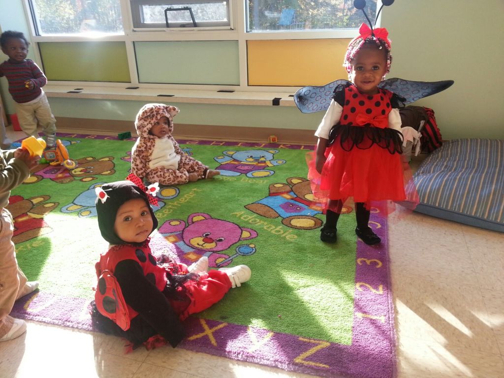 ladybugs